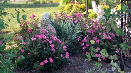 Rock and Roses - greenery, rose bushes, rock, naturescape