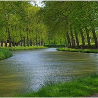 Spring-on-the-Canal-du-Midi