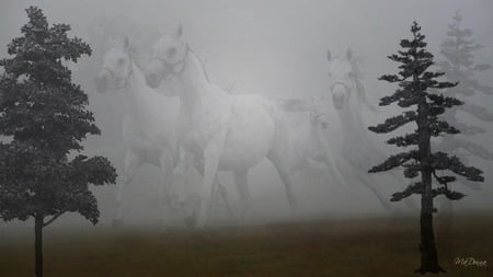 Ghost Horse Series 12 - widescreen, trees, fantasy, ghost, mystical, field, farm, firefox persona