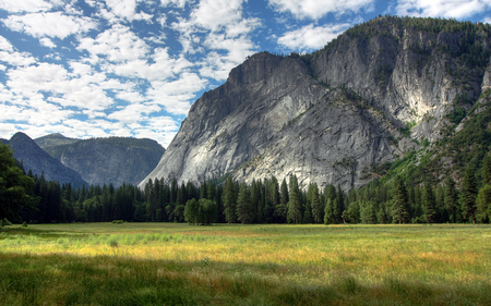 Yosemite Meadows - sky, trees, granite, mountain, clouds, meadow