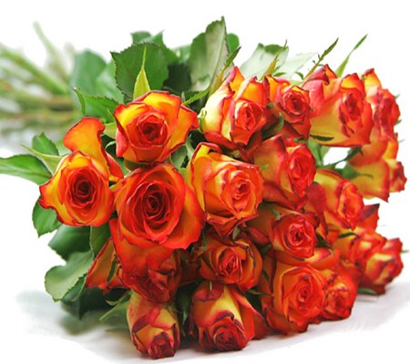 Fire orange - roses, bunch, orange, green, flowers