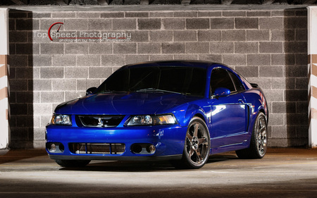 Blue 2003 Ford Mustang SVT Cobra - 2003, cobra, svt, mustang, blue, ford