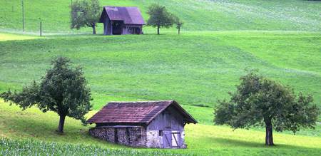 Nature plan - hill, house, fields, beautiful, lovely, green landscape, tree, nature, green, peaceful, farm, cottage