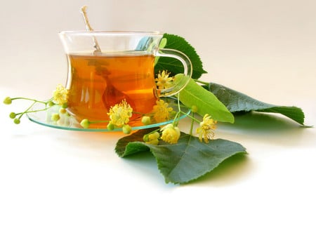 Linden Tea