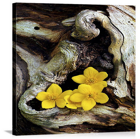 in wood - heart shape, yellow, wood, forest, flower