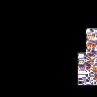 Missingno