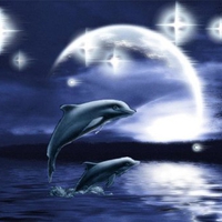 dolphins