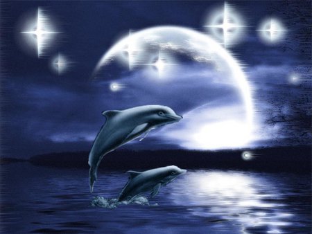 dolphins - dolphins, moon, sea, stars