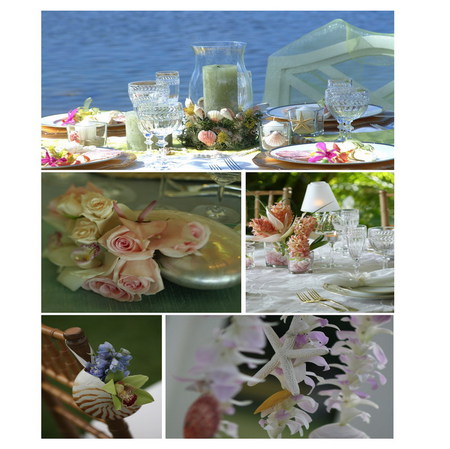 coastal decoration - shell, starfish, decoration, collage, nautilus, table, orchid