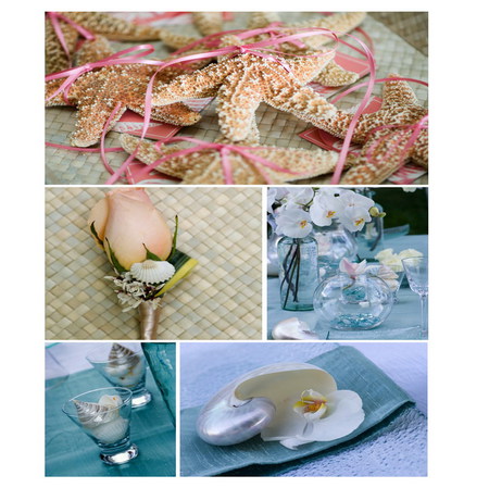 coastal decoration - starfish, collage, orchid, nautilus, decoration