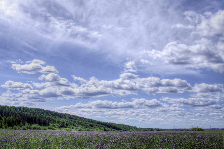 Sommer - ukhta, sommer, heaven, russia