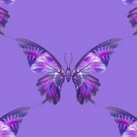 PURPLE BUTTERFLY