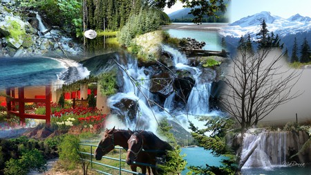 Images of Nature - trees, fog, collage, firefox persona, widescreen, flowers, river, waterfall, horses, lake, mountains