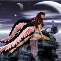 PINK & BLACK ANGEL WINGS