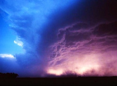 The changing sky - clouds, blue, pinks, changes, tree line, sky