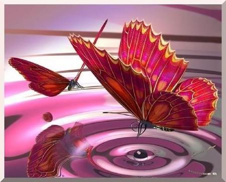 Butterfly pool - reflections, yellow, pink, ripples, water, butterflies