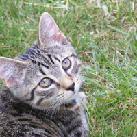 First time outside!