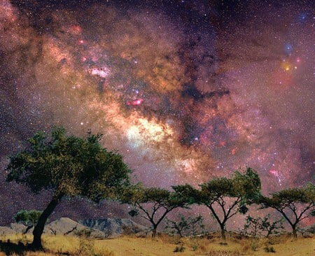 Milky way over Africa - trees, summer, africa, milky way, colors, stars, sky