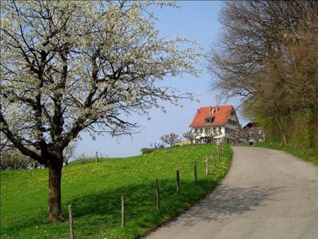 Dornach - house, path, dornach, trees, grass, fence