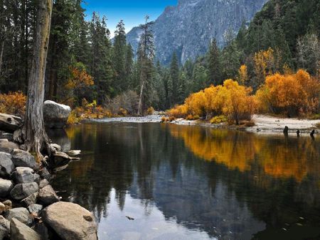 Always-For-The-The-First-Time. - autumn, trees, mirror, river