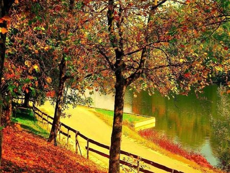 autumn-heaven - fence, autumn, trees, heaven