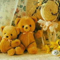 Teddy 04