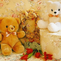 Teddy 06