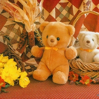 Teddy 08