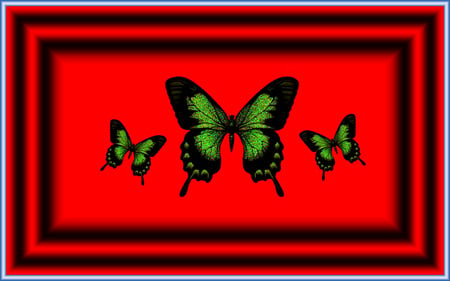 on display - green, butterfly, red, butterflies