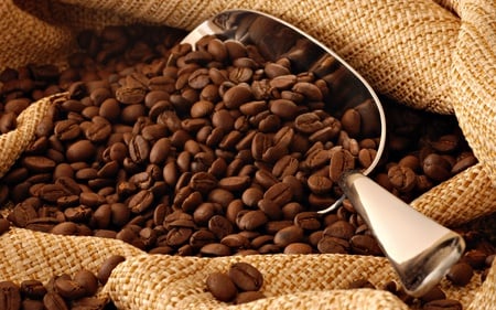 Coffee - flavor, coffee, hot, tasty