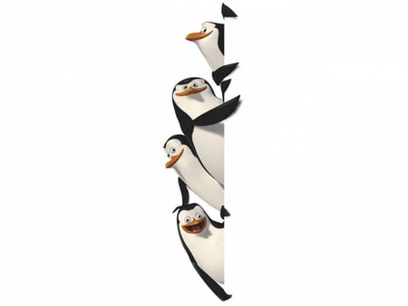 Madaga-Penguin - movie, 3d, madagascar, penguin