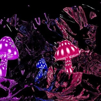 MAGIC MUSHROOMS