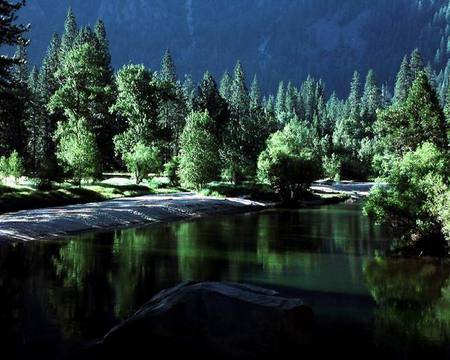 Nature - lake, forest, nature, green