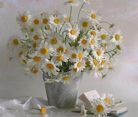 ............ Daysis .............. - book, vase, white, nature, yellow, wall, towel, page, flower