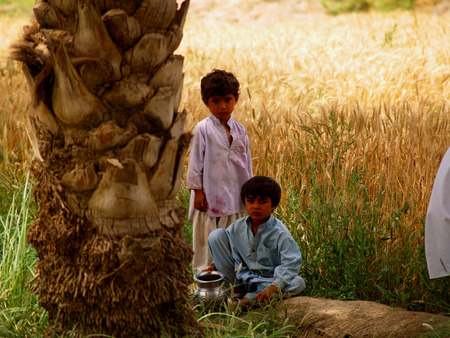 Child of village - farm, wheat, child, play