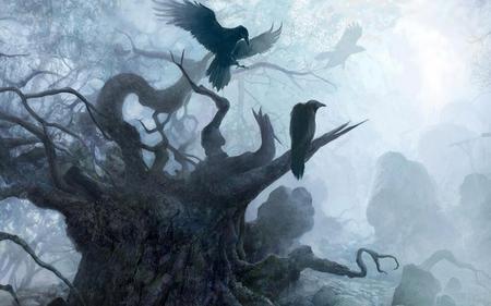 fog - tree, black, birds, darl