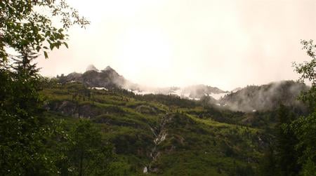 Mist on Rainier - path, greenery, sky, firefox persona, trail, trees, mist, mountain, snow