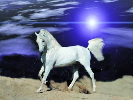 Stallion under the moon - hill, moon, night, white stallion, blue sky