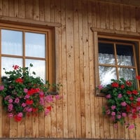 Window boxes