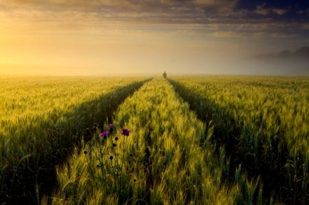 Solitary Times Two - clouds, path, roadway, person, purple weed