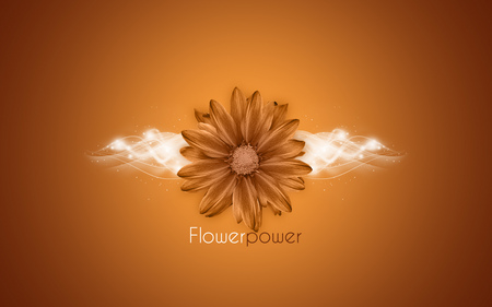 Wallpaper - women, brown, girl, flower, widescreen, white, hd, power, sexy