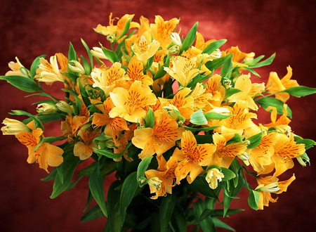 fantastic yellow - amarillo, lilys, ramo, bouquet, flores