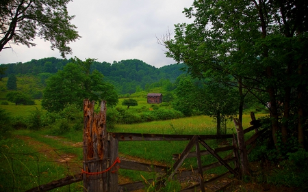 FARM HOUSE GATE - farm, trees, gate, broken, woooden, field, iron, country, pathway, green, house