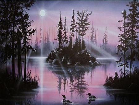 Evening loons - trees, swimming, evening, lake, colored sky, loons, moonlight