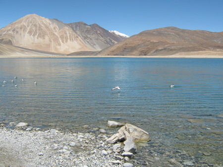 pangong lake ladakh india - kashmir, shashank shekhar, lake, ladakh