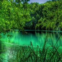 HDR Summer in the Lake Plitvice, Croacia