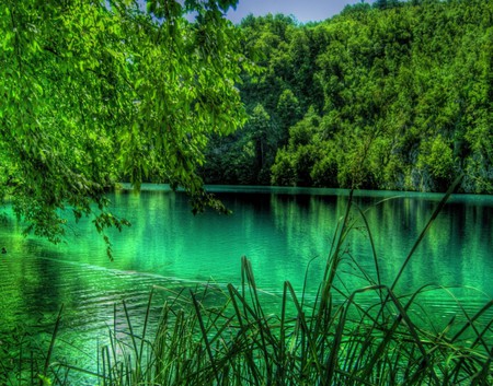 HDR Summer in the Lake Plitvice, Croacia - calm, summer, scenery, rivers, wood, scene, scenario, sand, widescreen, trunks, hdr, plants, seasons, nice, pond, paysage, beauty, colors, laguna, colours, paisage, green, clear, lakes, wall, waterscape, bay, reflections, blue, amazing, roots, landscape, photo, swell, leaves, forests, transparent, mirror, grove, sky, branches, trees, water, beautiful, photography, photoshop, reflected, cool, paisagem, black, colorful, awesome, lagoons, leaf