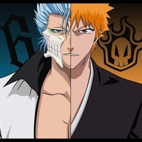 grimmjow and ichigo