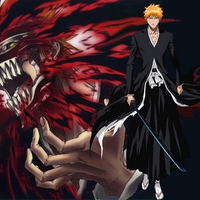 bleach ichigo vaizard