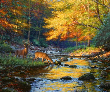 on the alert - color, fall, creek, gold